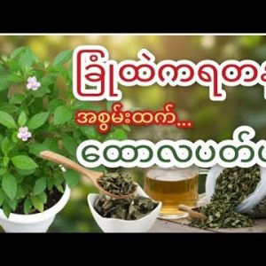 1772286529 hqdefault