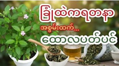 1772286529 hqdefault