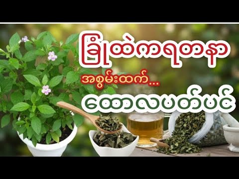 1772286529 hqdefault