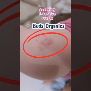 1772297983 maxresdefault