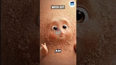 Hygiene - Quick Warning 6 1772300923 maxresdefault