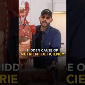 1772322883 maxresdefault