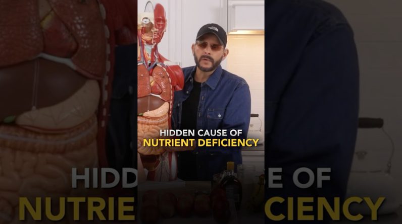 1772322883 maxresdefault