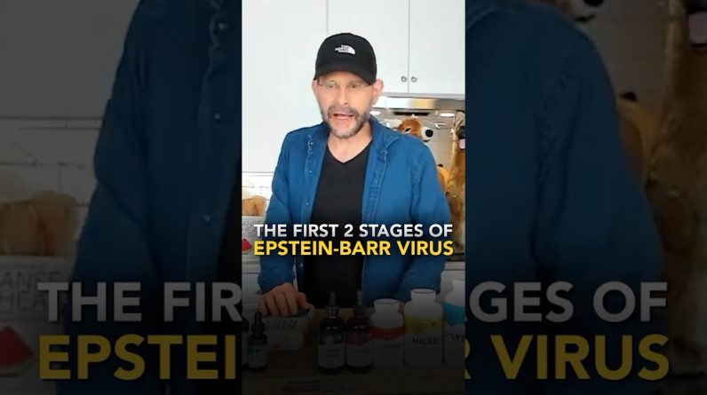 1772326543 maxresdefault