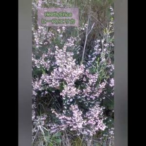 1772363144 maxresdefault