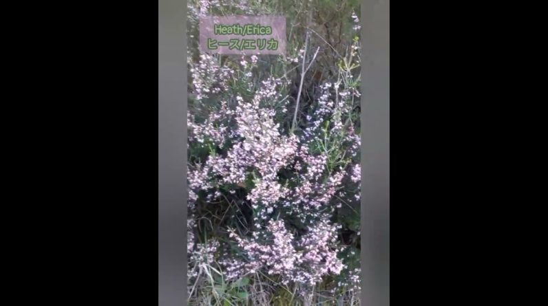 1772363144 maxresdefault