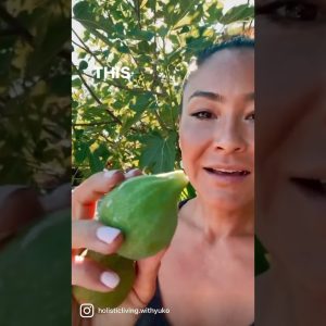 1772366596 maxresdefault