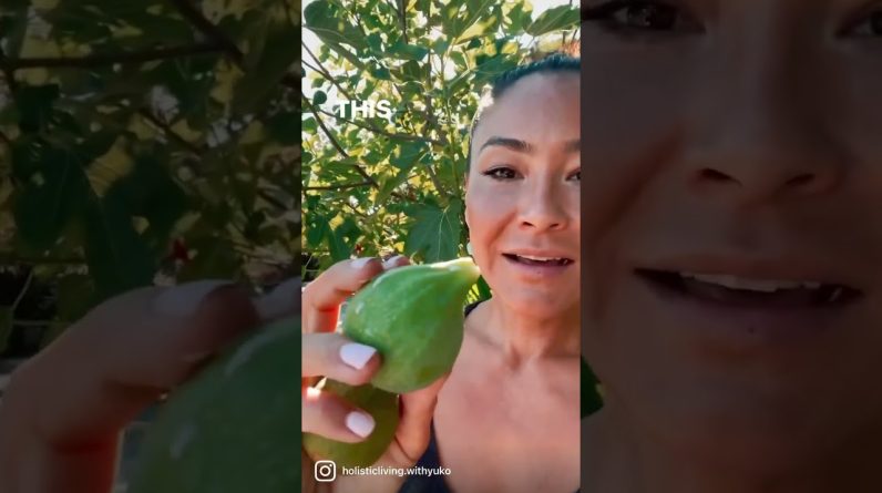 1772366596 maxresdefault