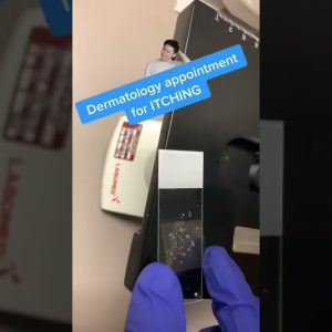 1772386568 maxresdefault