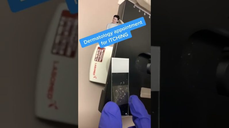 1772386568 maxresdefault