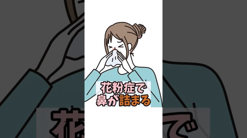 1772388825 maxresdefault