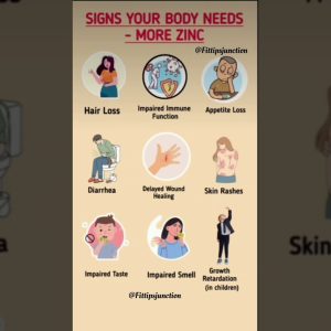 1772389742 maxresdefault