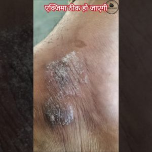 1772392851 maxresdefault