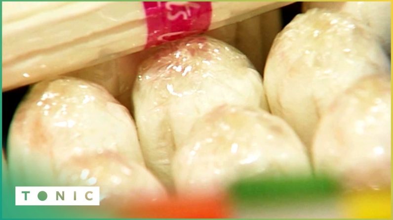 1772470789 maxresdefault