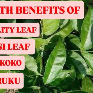 1772635570 maxresdefault