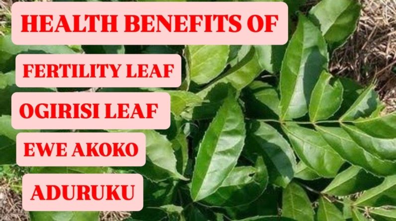 1772635570 maxresdefault