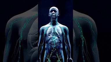 1772637903 maxresdefault