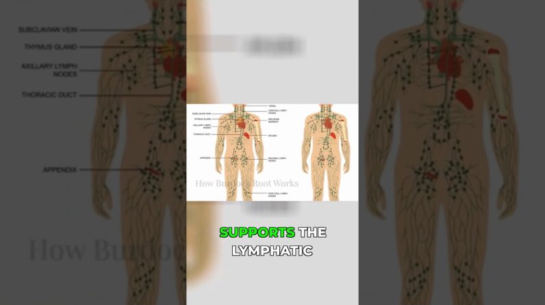 1772649663 maxresdefault