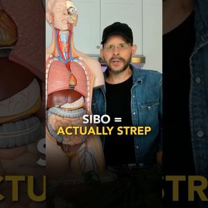 1772656216 maxresdefault