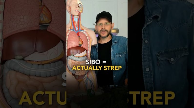 1772656216 maxresdefault