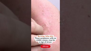 1772700943 maxresdefault