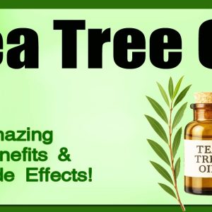 1772723206 maxresdefault