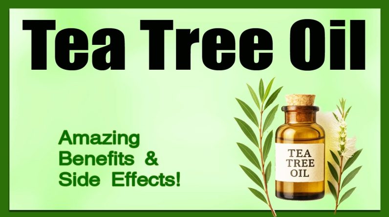 1772723206 maxresdefault