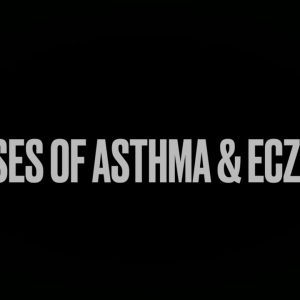 1772811355 maxresdefault